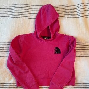 The North Face Fuchsia Pullover Hoodie